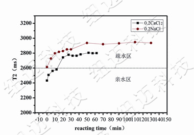 低场核磁共振技术在高分子材料交联密度,老化等科研领域的应用