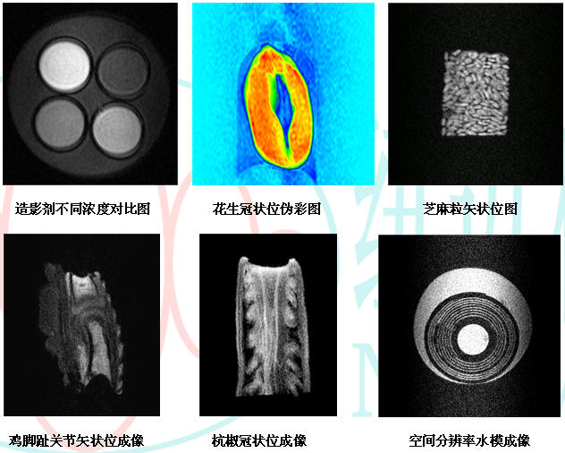 脉冲核磁共振教学仪（EDUMR）_脉冲核磁共振成像仪