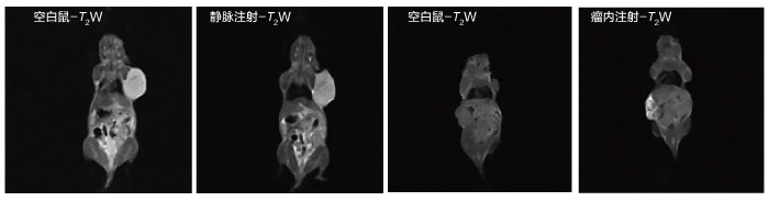 核磁共振在生命科学领域部分案例【一】