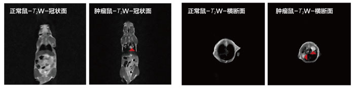 核磁共振在生命科学领域部分案例【二】