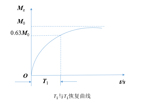 核磁共振T1弛豫时间 纵向弛豫过程及磁共振T1造影剂的应用