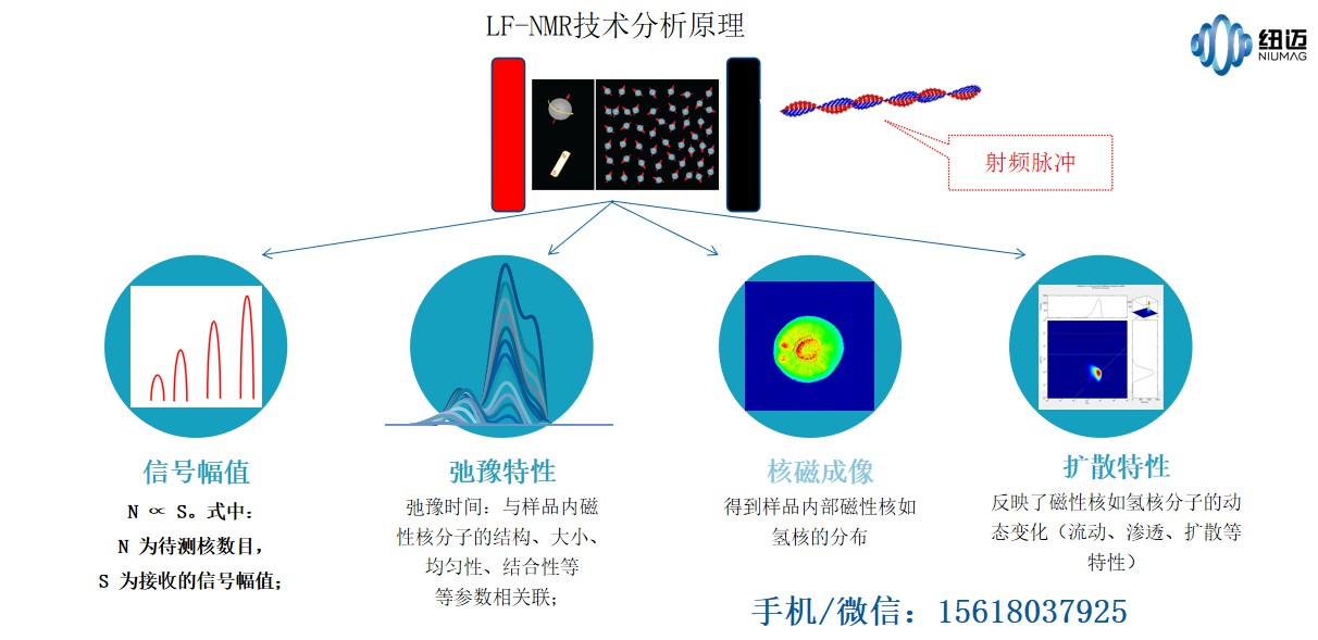 低场核磁共振技术与应用概述